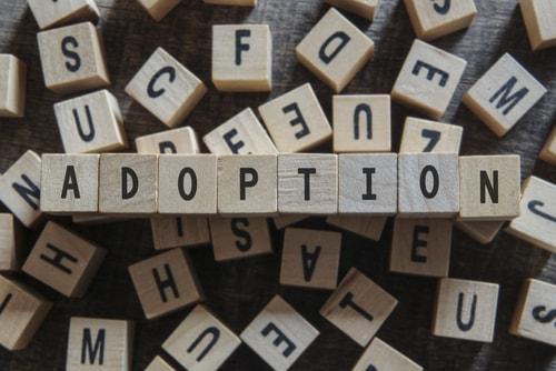 Kane County adoption lawyers